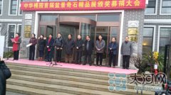 沈丘好人在该县首届盆景奇石精品展期间义卖作品出手相助患病女孩