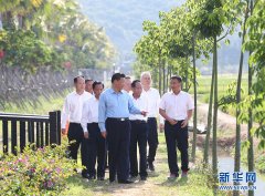 习近平在海南三亚考察